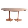 Mesa-Jantar-Organica-Grande-Aco-Terracota-Tampo-Cumaru-Amarelo-180cm---74787