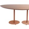 Mesa-Jantar-Organica-Grande-Aco-Terracota-Tampo-Cumaru-Amarelo-180cm---74787